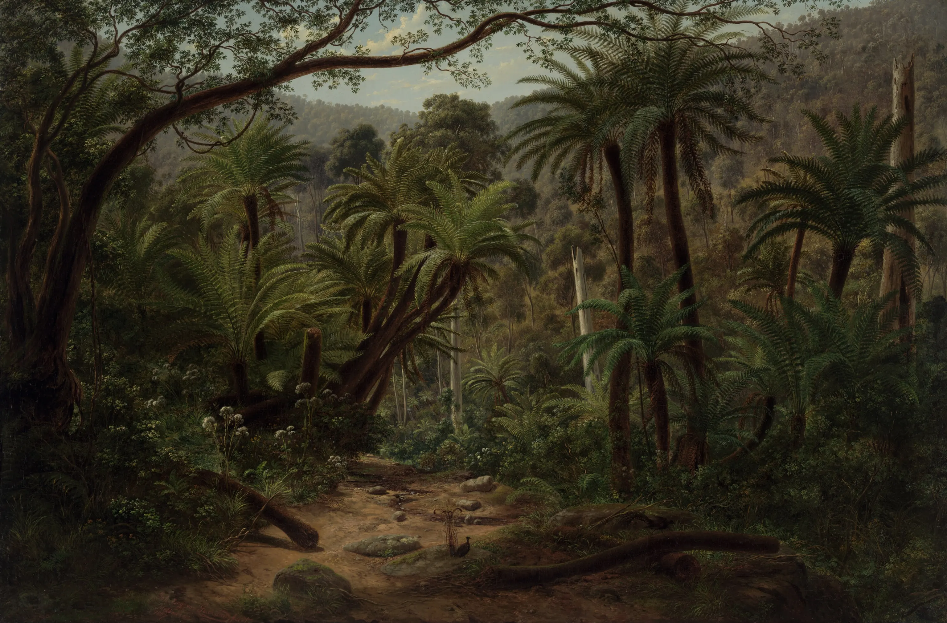 A fern gully painted in 1857: tree ferns under tall eucalypts, a dirt track and two lyrebirds.